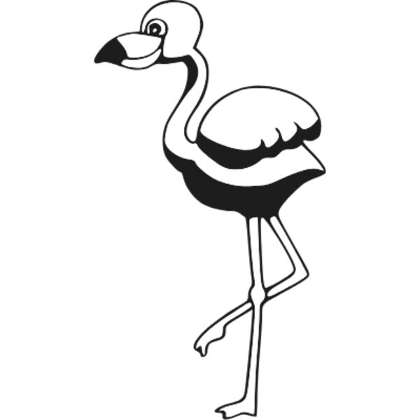 funny flamingo Thumbnail