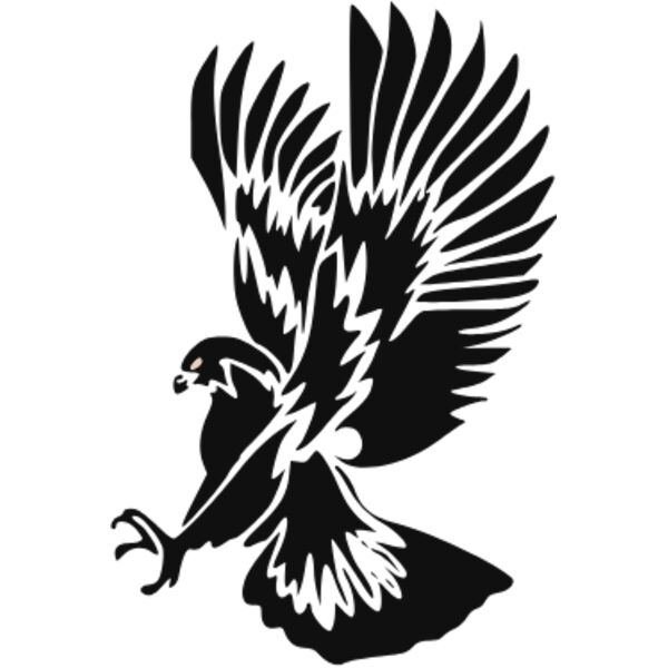 eagle catch Thumbnail