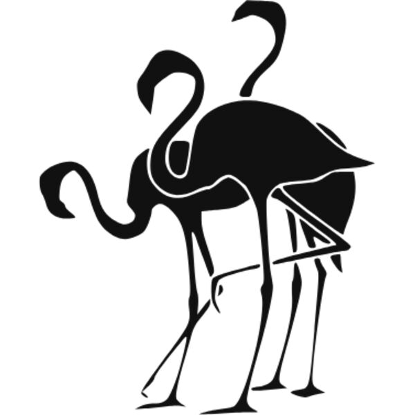 many flamingo bird Thumbnail