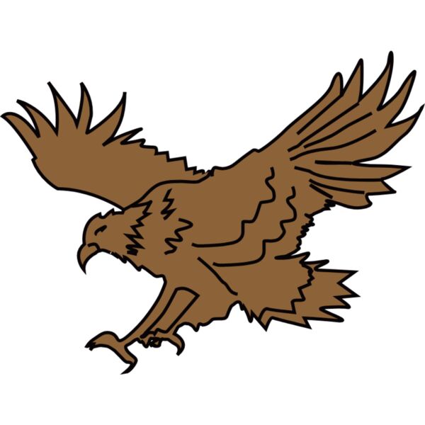 eagle 200 54841 Thumbnail