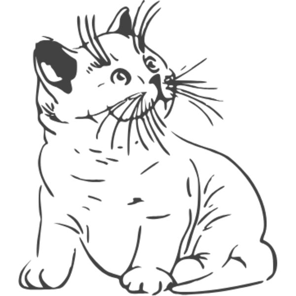cat outline cilpart Thumbnail