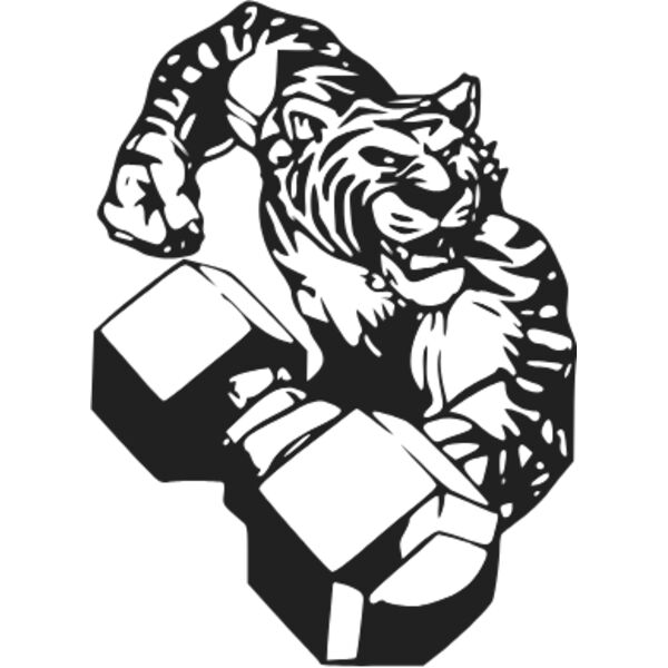 tiger weight lifting Thumbnail